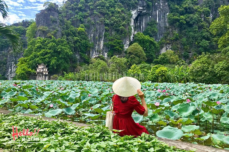 Review Bích Động